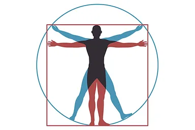 Research Study : Evaluation of body composition via markerless motion capture