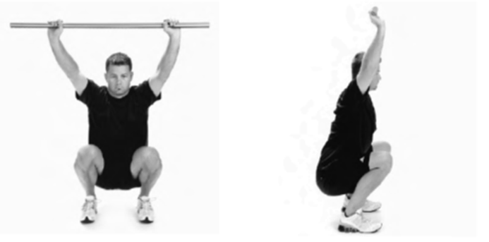 How has functional movement science changed over the years?