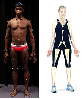Research Study – Are Kinematics on a Markerless Motion Capture System Comparable to Marker-Based?